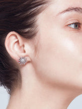Load image into Gallery viewer, Day & Night dore and lame earrings