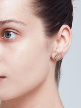 Load image into Gallery viewer, Day & Night dore and lame earrings