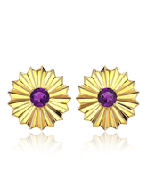 Load image into Gallery viewer, Apatura Iris Purple Emperor Earrings