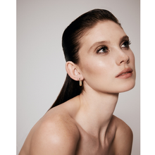Load image into Gallery viewer, Sparkling You Earring