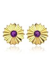 Load image into Gallery viewer, Apatura Iris Purple Emperor Earrings
